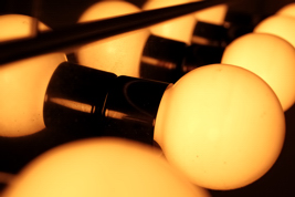 bulbs